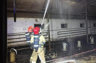 Pożar kurnika w Lubawie. Są straty w inwentarzu