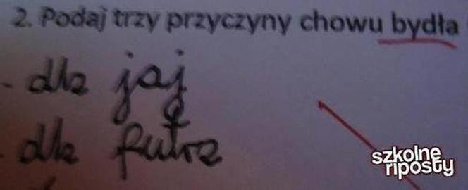 Nauczyciel płakał ze śmiechu, jak sprawdzał. Te odpowiedzi z klasówek to HIT! [GALERIA]