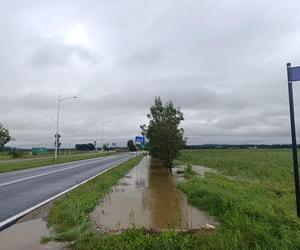 Powódź 2024. Dramatyczna sytuacja w Nysie