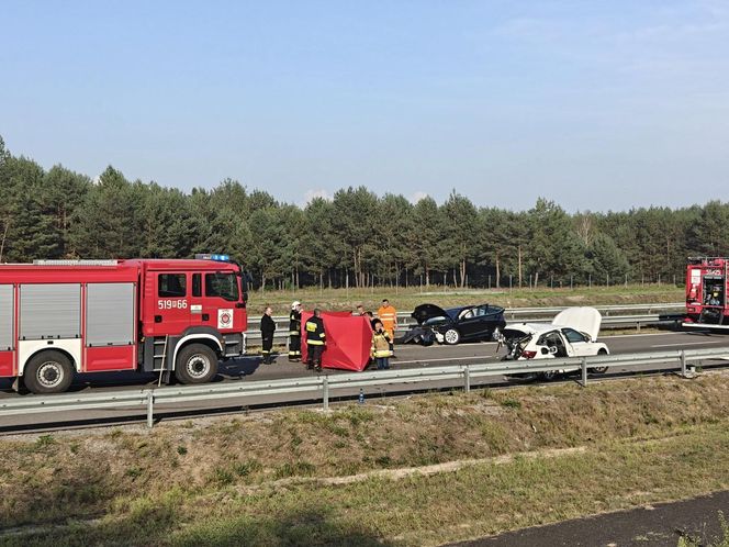 Jeżowe. Śmiertelny wypadek na S-19. Nie żyją kobieta i mężczyzna ze skody [ZDJĘCIA]