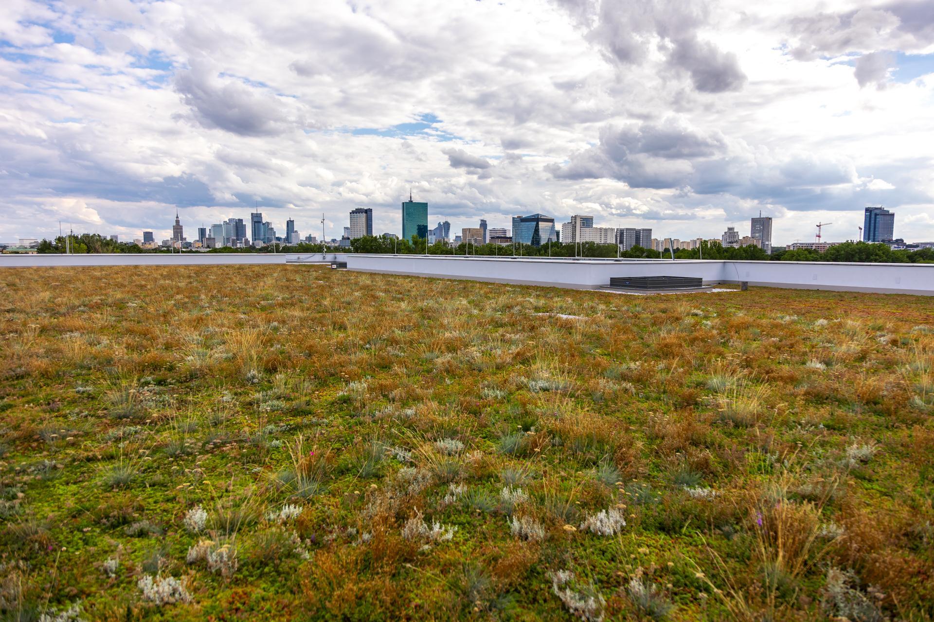 Muzeum Historii Polski na dzień przed otwarciem