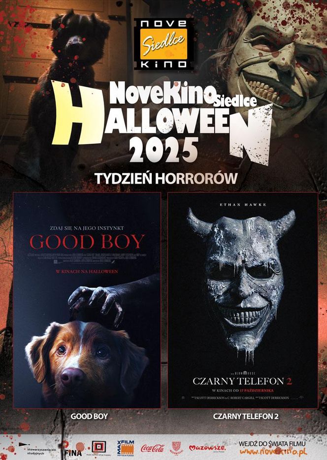 Tydzień Halloween w NoveKino Siedlce już od 31 października!