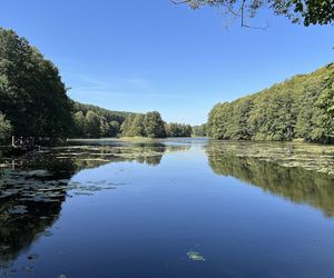 Najlepsze trasy wodne na Podlasiu na letni weekend
