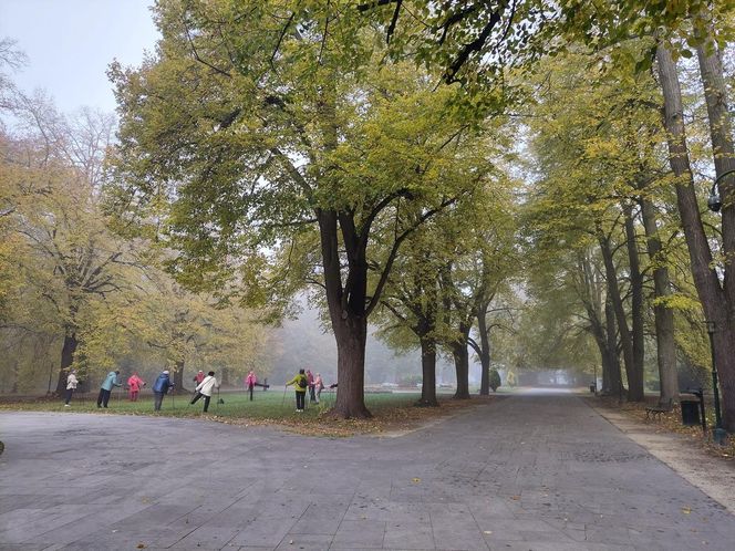 Zamojski Park jesienią