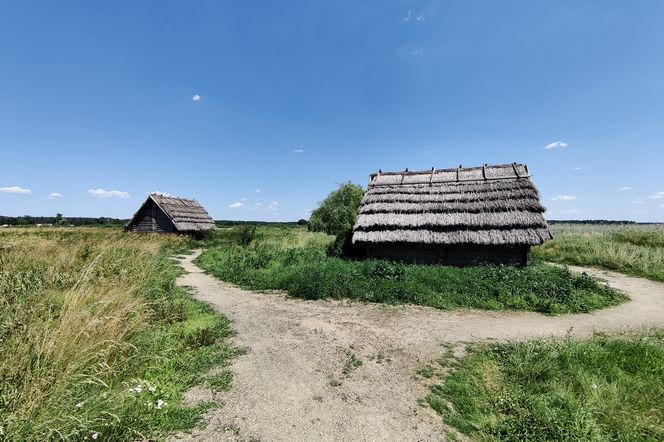 Mniej znana atrakcja z woj. lubelskiego. Zobacz zdjęcia z grodziska w pow. opolskim