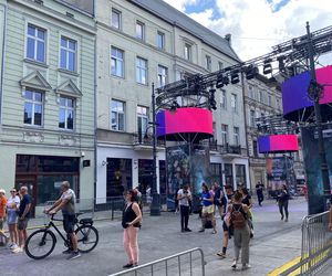 Parada Wolności 2025 niedziela