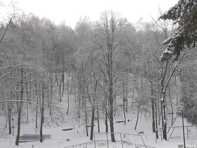 Starachowice w zimowej szacie