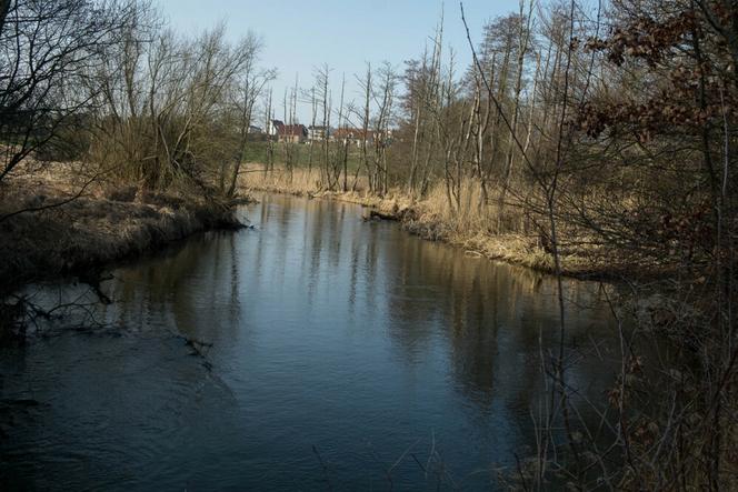 Zaparkował" auto w rzece Radunia. Na miejscu straż pożarna [ZDJĘCIA]