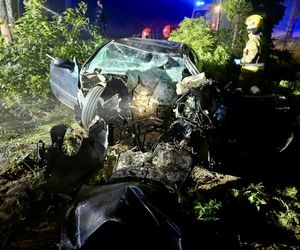 Śmiertelny wypadek pod Malborkiem. Dwóch nastolatków uderzyło w drzewo [ZDJĘCIA].