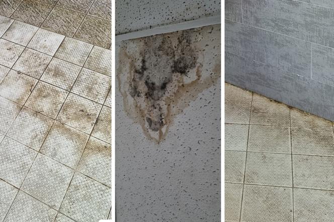 Czterogwiazdkowy hotel w Macedonii okazał się koszmarem. "Grzyb na ścianie, owady w jedzeniu"