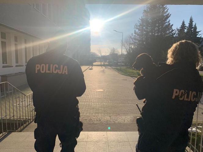 Słupsk: Poli zgubiła się na ulicy. Policja poszukuje właściciela psa