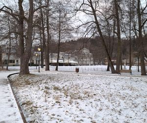 Nałęczów - Park Zdrojowy zimą