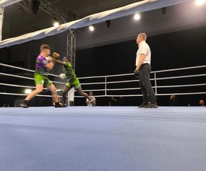 Walczyli dla Krystiana. Charytatywna gala boksu Hero Boxing Fighters 3 „Jungle”