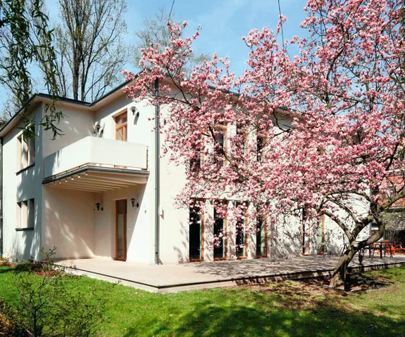 Przedwojenna willa z magnolią jest po remoncie kwintesencją modernizmu