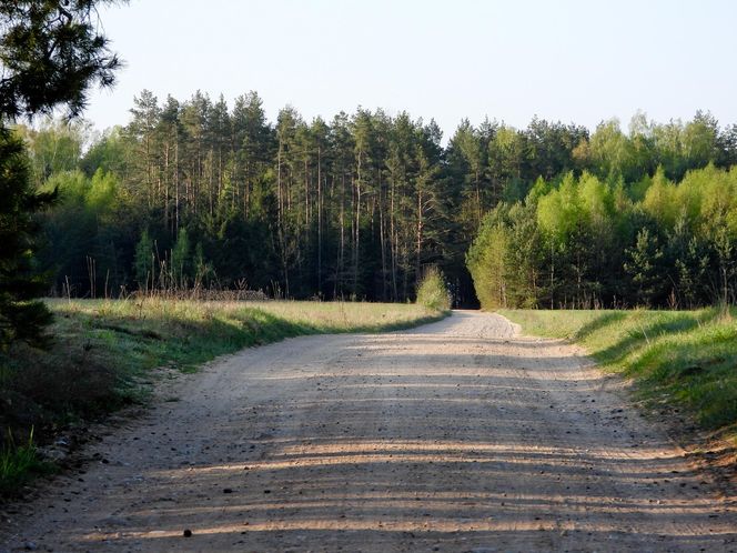 Magiczne krajobrazy. Kruszyniany to kraina jak z baśni