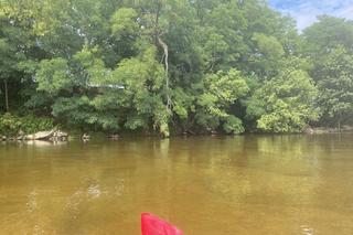 To idealna rzeka dla kajakarzy z woj. łódzkiego. Zobacz, jak wyglądają spływy Pilicą [ZDJĘCIA]