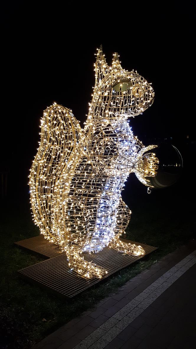 Świąteczne iluminacje w Łomży
