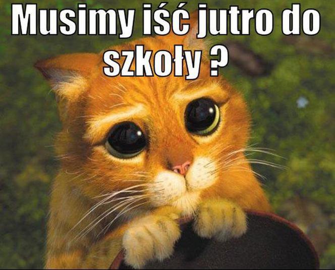 Uczniowie wracają do szkół. Zobacz najlepsze MEMY! Każdy się uśmieje 