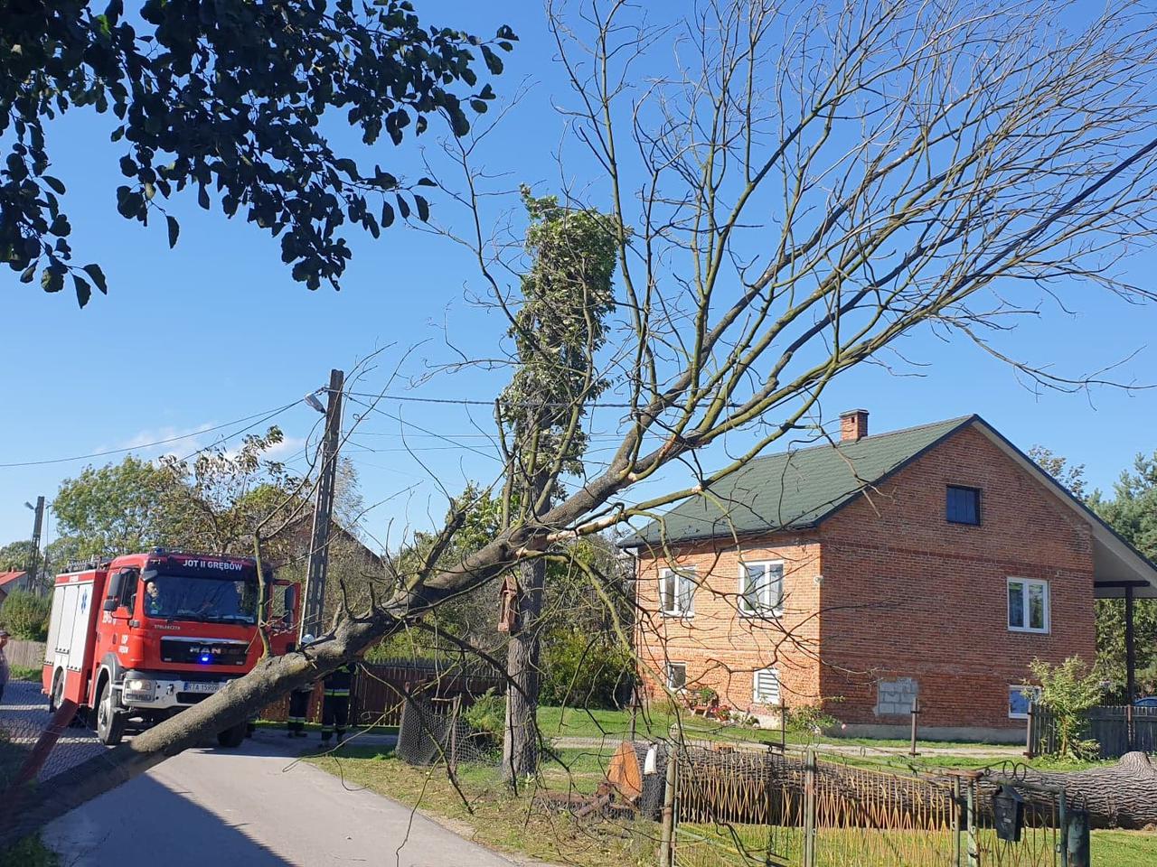 Podkarpacie: Wiatr łamał drzewa jak zapałki! Strażacy interweniowali aż 160 razy [ZDJĘCIA]