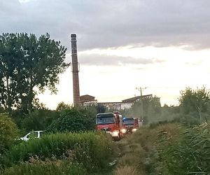 Tragiczny finał poszukiwań w woj. lubelskim. Sprawą zajmuje się policja