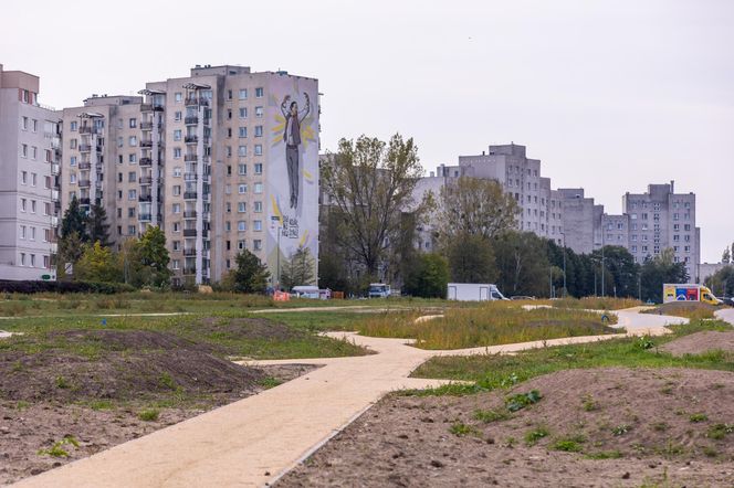 Budowa parku nad Południową Obwodnicą Warszawy