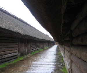Biskupin