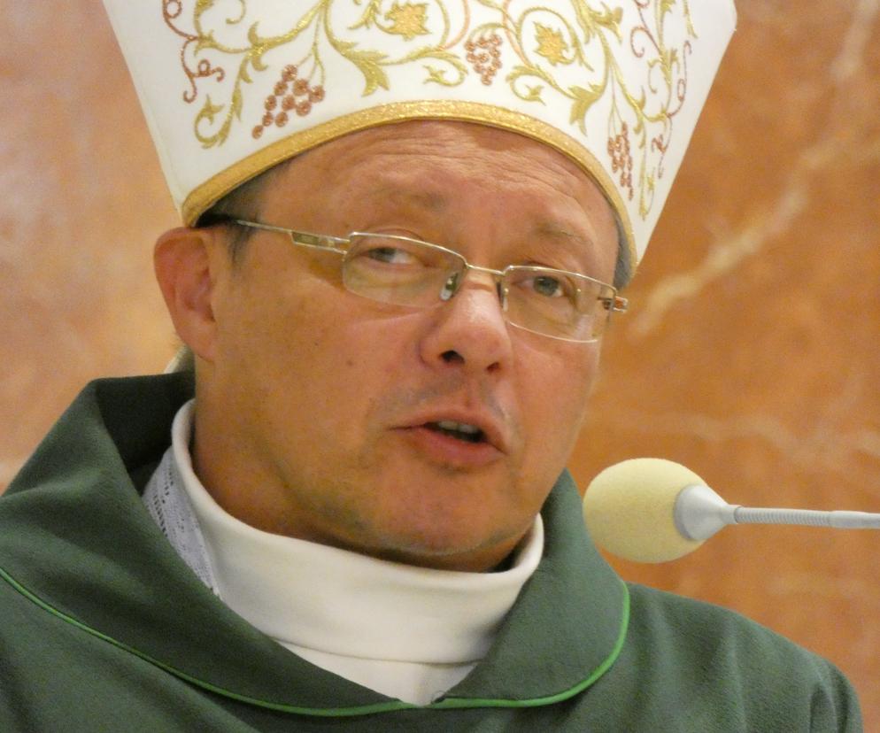 Abp Grzegorz Ryś: Ruch Światło-Życie