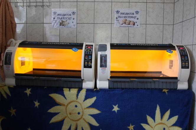 USG I INKUBATOR DLA PSIAKÓW.