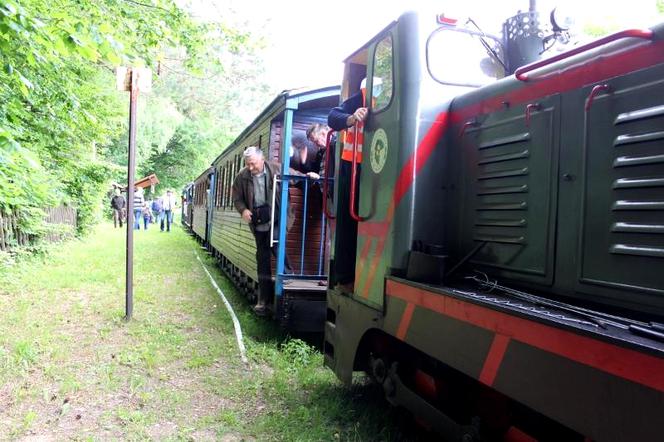 Kolejką wąskotorową przez Puszczę Białowieską