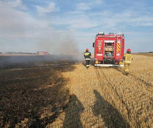 Dwa pożary zboża oraz rżyska w powiecie braniewskim