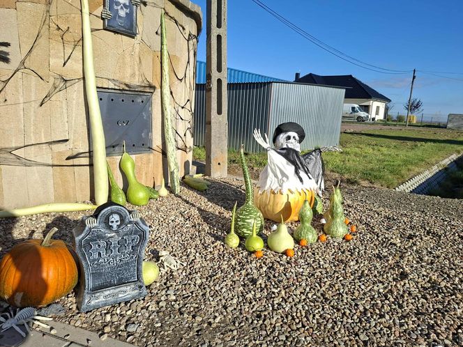 U Łukasza z Pawłowa hasło "cukierek albo psikus" nabiera innego wymiaru. Najbardziej halloweenowy dom świętokrzyskiego