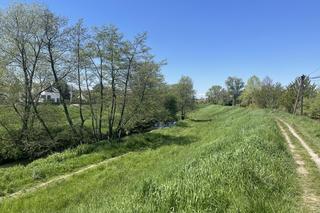 Najdłuższy park w Polsce jest w Krakowie. Ledwo widać go na mapach, a jest pełen atrakcji