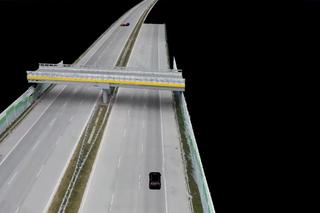 Tak doszło do wypadku na A1. Analiza ekspertów nie pozostawia wątpliwości