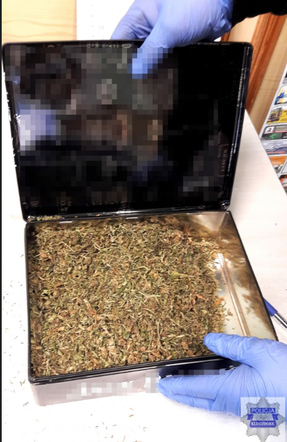 50-latek miał w domu istną plantację!