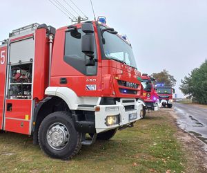 Duże straty po pożarze na Ranczo Smyczyna. „Mamy szereg umów z naszymi gośćmi i zamierzamy się z nich wywiązać”