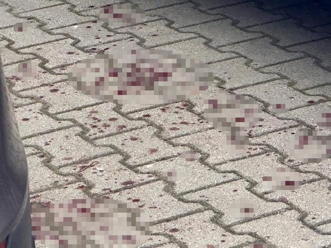 Napad w Wólce Kosowskiej. Krew lała się po ulicach!
