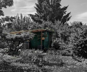 Do zabicia przyznał się podczas spowiedzi. Pobił Monikę tak mocno, że złamał sobie rękę