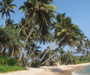 Sri Lanka