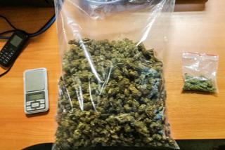Ponad pół kilograma marihuany zabezpieczyli policjanci z Sulęcina