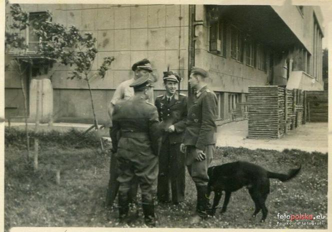 Świdnik