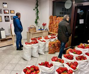 Romanowski wspiera rolnika. Zaprasza do poselskiego biura po paprykę