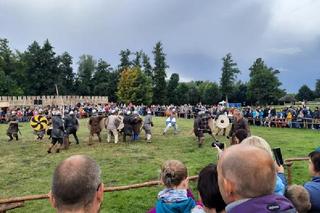  XXVII Festyn Archeologiczny w Biskupinie 