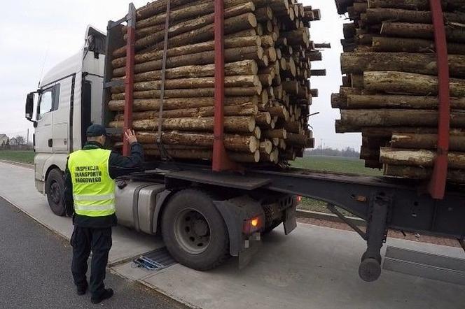 Wzmożone akcje na Opolu. Ciężarówki z nadmiarem drewna przyłapane przez Inspekcję Transportu Drogowego