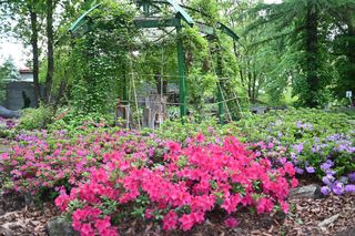 Arboretum w Bolestraszycach 