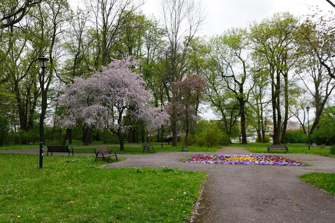 Park Bronowice wiosną 2024