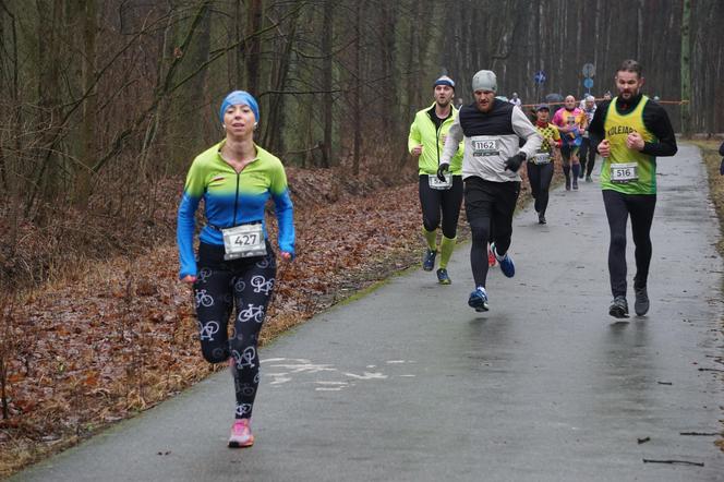 City Trail w Bydgoszczy. Miłośnicy biegania opanowali Myślęcinek [ZDJĘCIA]