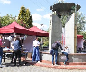 Miejska Garażówka na Koszutce w Katowicach. Były tam prawdziwe skarby