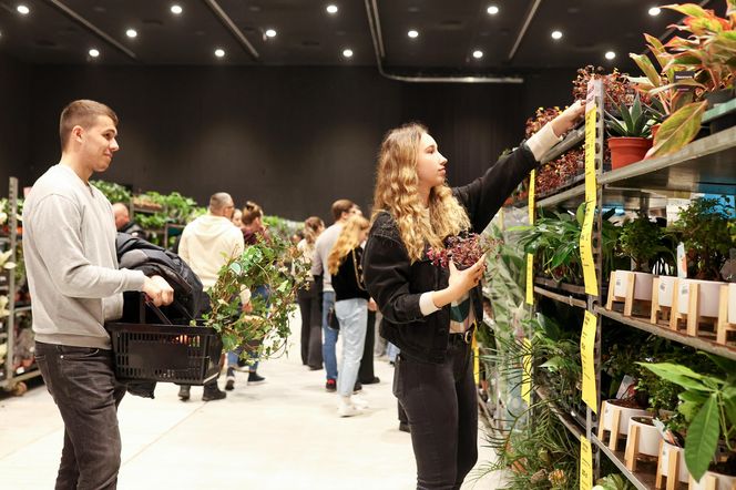 Festiwal roślin odbywa się w Katowicach