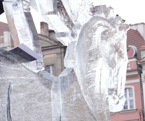 Poznań Ice Festival 2024 