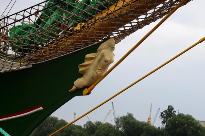 Alexander von Humboldt II